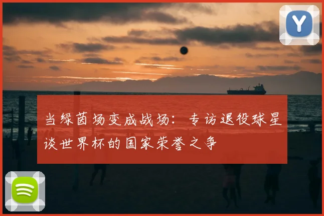 当绿茵场变成战场:专访退役球星谈世界杯的国家荣誉之争