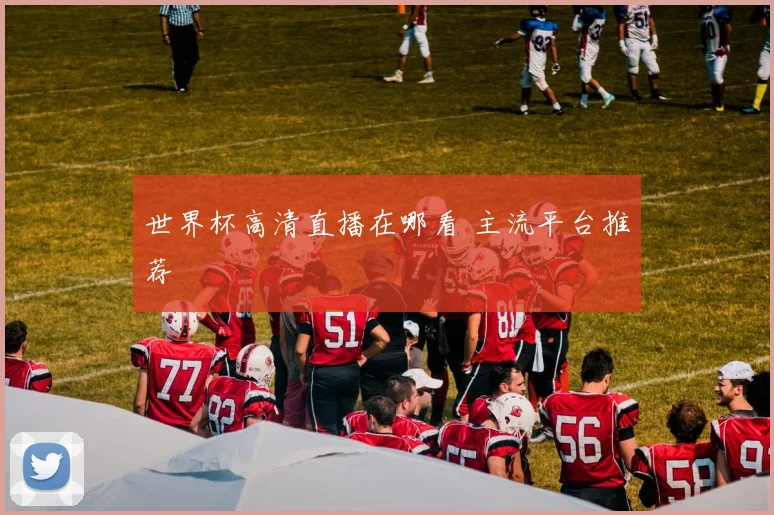世界杯高清直播在哪看 主流平台推荐