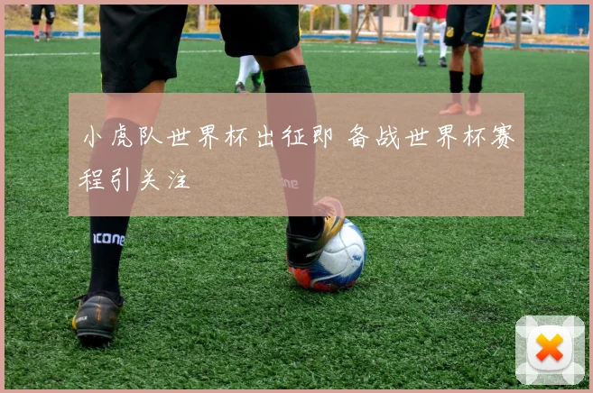 小虎队世界杯出征即 备战世界杯赛程引关注