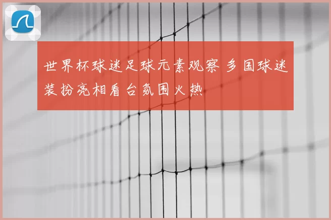 世界杯球迷足球元素观察 多国球迷装扮亮相看台氛围火热